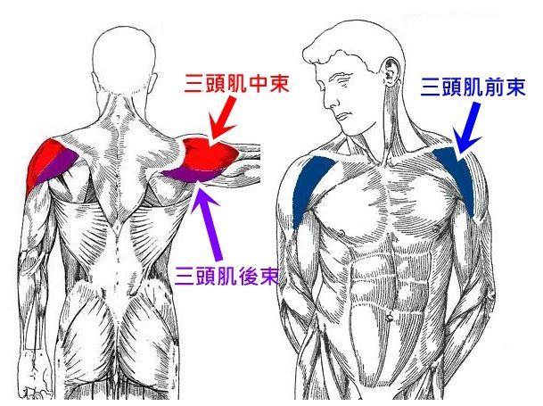 练出强悍的“狗头肩”，让女生见了就有安全感