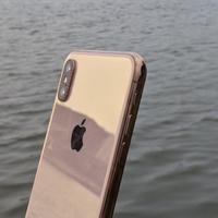 闲鱼高阶（血亏）玩法：2300几乎全新港版iPhone Xs Max，499苹果手表3代