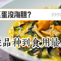 【跟着艾路买食材】 篇二十一：海胆蒸蛋没海胆？进来了解一下那些关于海胆的科普知识吧~