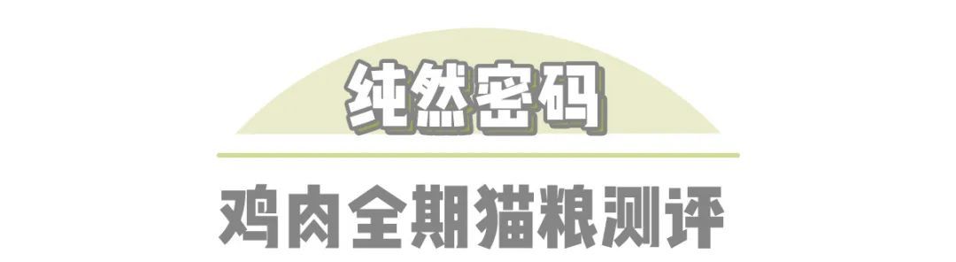 入门级进口粮也有「平替」？贫民窟铲屎官要不再省一点？