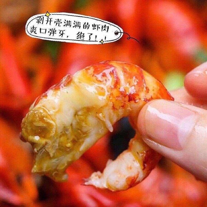 红小厨虾类