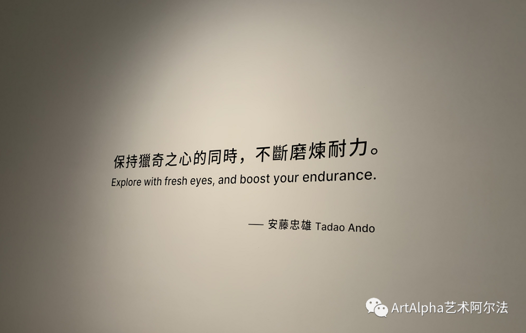和美术馆正式开馆，呈现建筑师安藤忠雄的艺术人生，重磅藏品与之对话