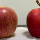 两种苹果都很棒！新西兰皇后对比烟台红富士
