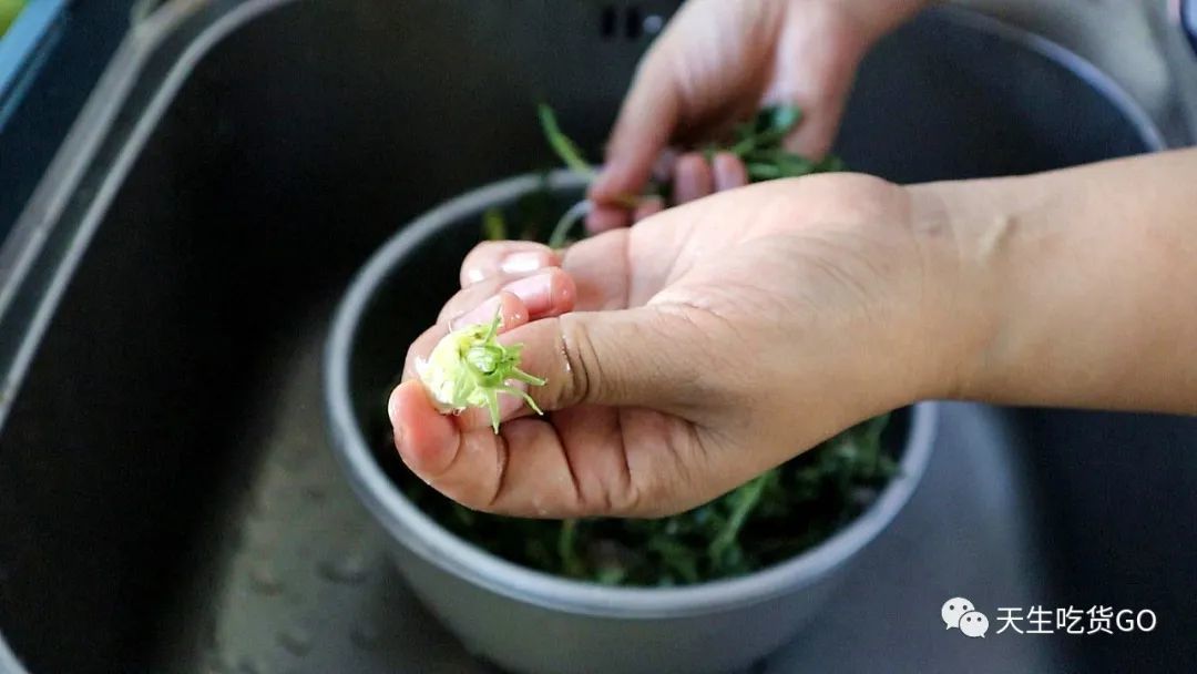 沈阳人心爱的春季野菜，这样吃才不辜负！