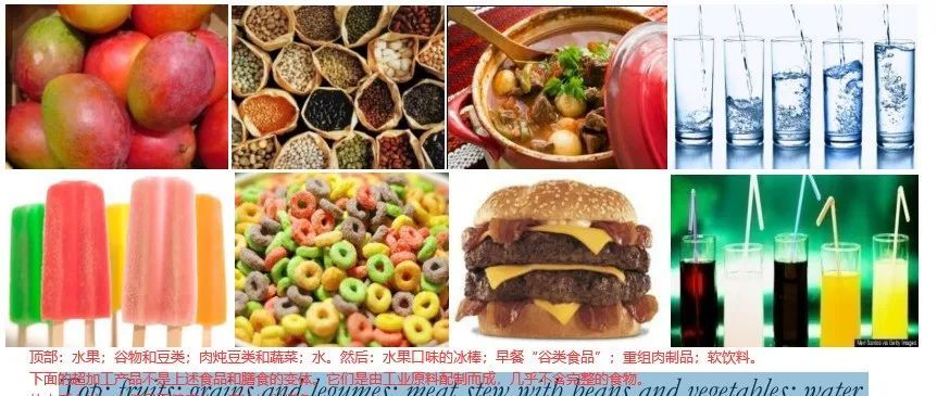 狗食物过敏，除了处方粮，你好像别无选择？！