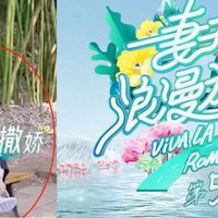 看秦海璐“换鞋”，简介国内七大女鞋品牌