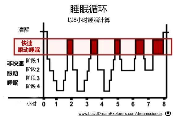 睡觉前喝奶，会影响生长激素分泌吗