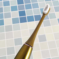 罗曼电动牙刷T10 S：洁齿洁面轻松搞定，带给你全面的呵护体验