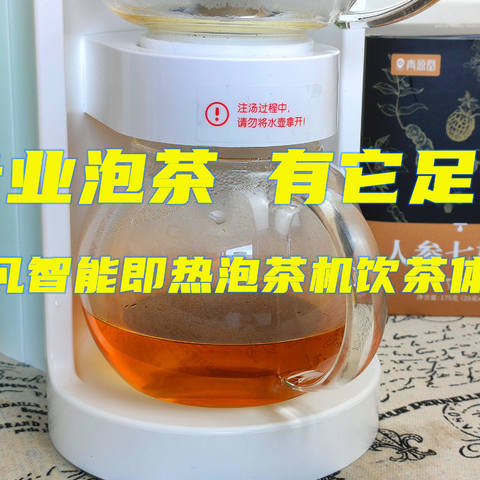 专业泡茶 有它足矣 魔凡智能即热泡茶机饮茶体验