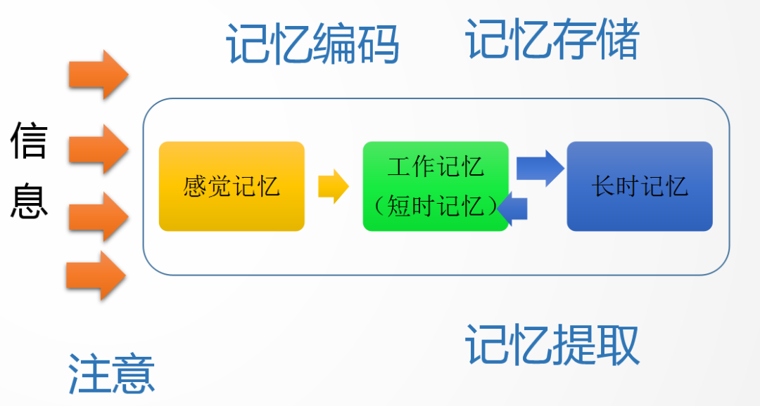 影响孩子记忆的因素有哪些？破解记忆谜题，助力孩子高效学习