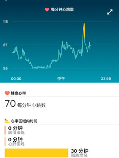 心率运动监测腕表—fitbit