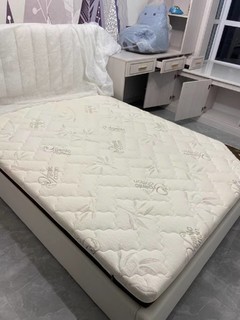。这款床垫相当于品牌中的爱马仕