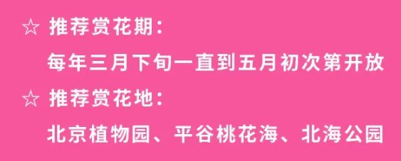 干货帖，你所需要的出游注意事项全都在这啦！还有赏花地点哦～