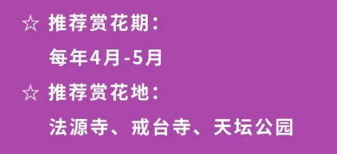 干货帖，你所需要的出游注意事项全都在这啦！还有赏花地点哦～