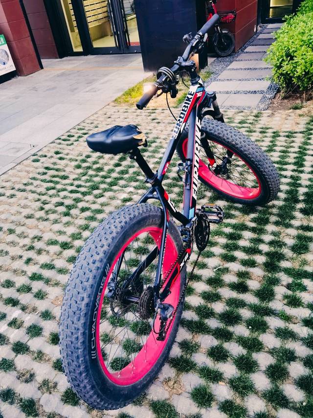 几千元买一个自行车，你怎么看？