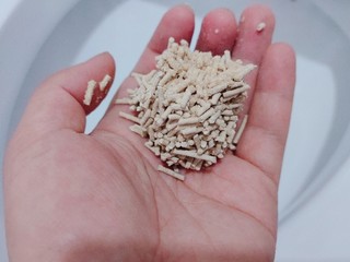小米生态链出的猫砂，PAWBBY植物猫砂