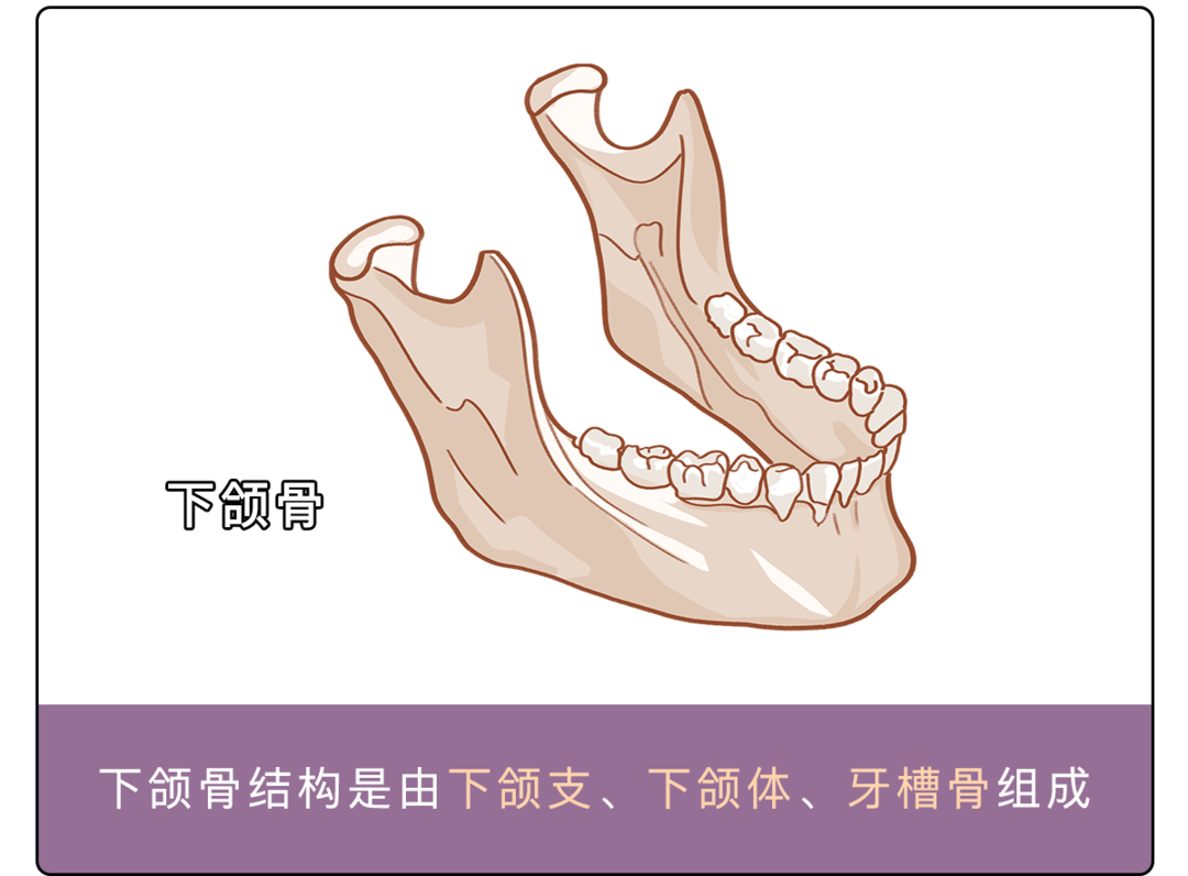 为啥长大后，这个部位越来越不受控制？