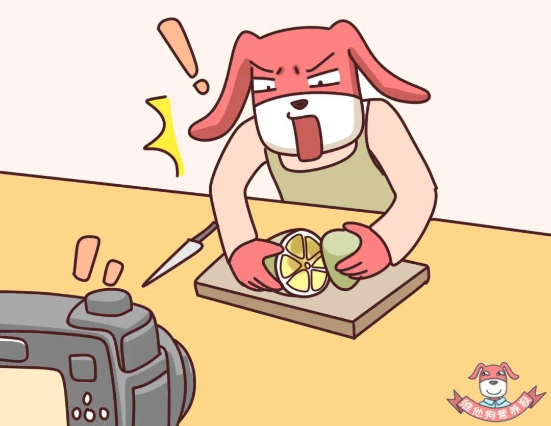 烂水果刨去烂的部分还能吃吗