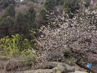 华为Mate40 Pro拍摄的狼牙山风景