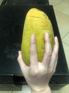 果之大，手掌包不下！又大又好吃的青芒果