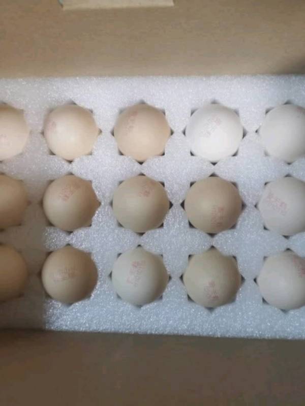 黄天鹅可生食鸡蛋30枚159kg礼盒装