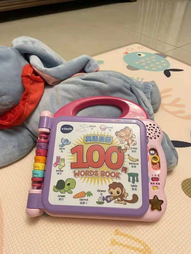 伟易达启蒙100，帮我解决宝宝英语辅导难