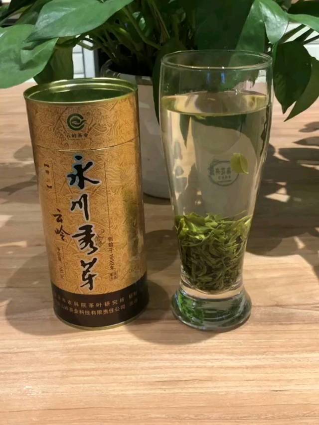 还是这个茶好——云岭永川秀芽