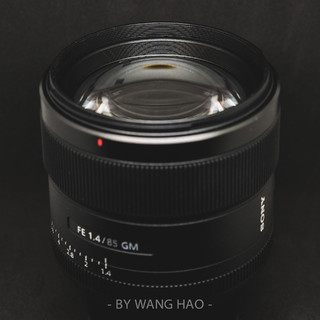 老婆送我的礼物-SONY FE8514