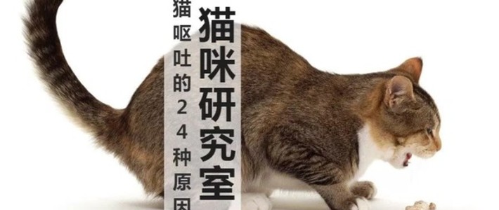 弓形虫 人感染弓形虫有多难 只有吃下新鲜的猫便便才行 宠物驱虫 什么值得买