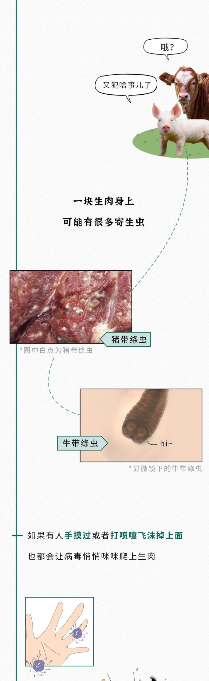 冲洗生肉会感染病毒?能保狗命的知识增加了!