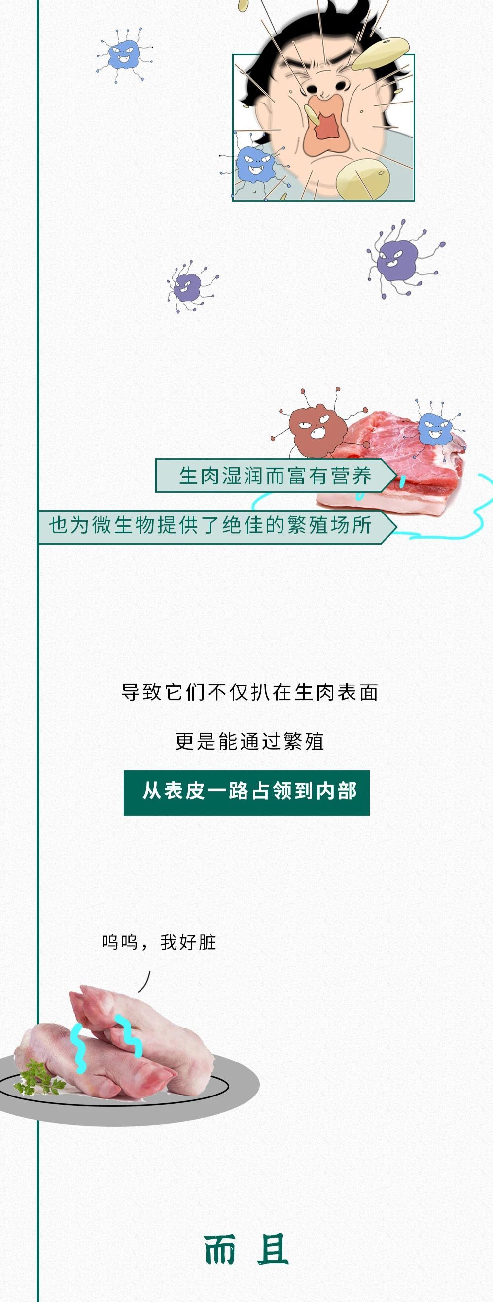 冲洗生肉会感染病毒？能保狗命的知识增加了！