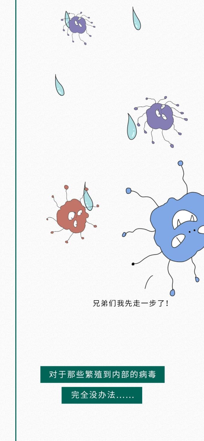 冲洗生肉会感染病毒?能保狗命的知识增加了!