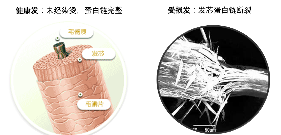 炸毛少女的柔顺秘籍，竟然是它！