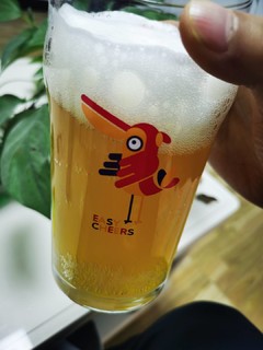 Easycheers比利时风味啤酒