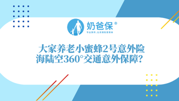 大家养老小蜜蜂2号意外险的海陆空保障是什么？哪个版本性价比最高？