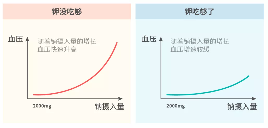 芹菜、木耳、洋葱这类蔬菜，真的可以降血压吗？