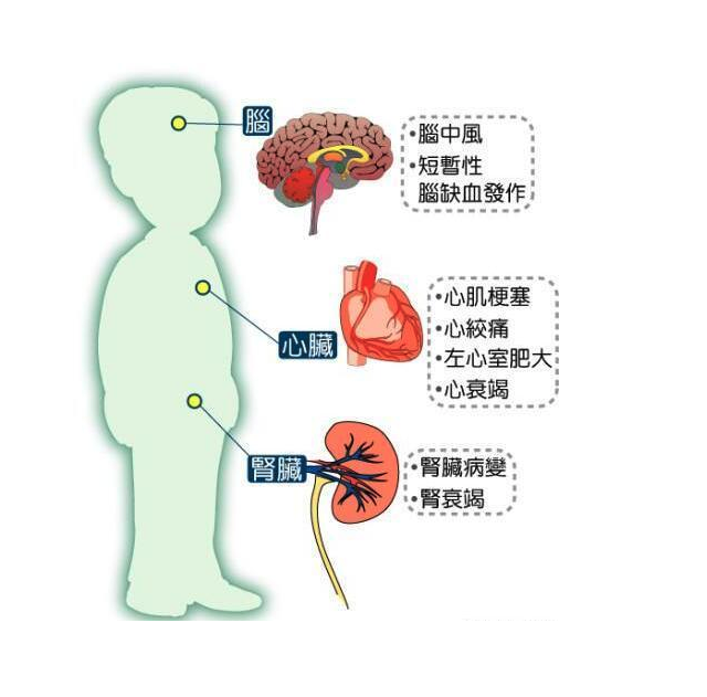 芹菜、木耳、洋葱这类蔬菜，真的可以降血压吗？