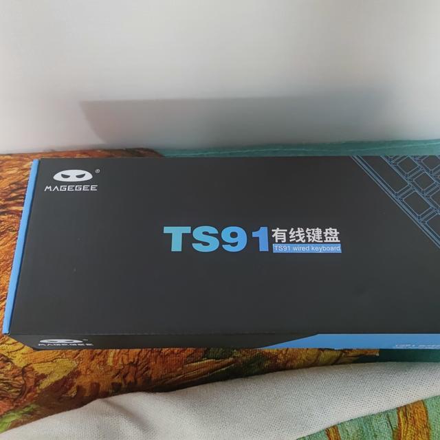 简单聊聊MAGEGEE键盘（TS91）从入手到退货