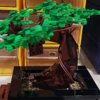 LEGO 花草植物系列 10281 盆景盆栽 评测