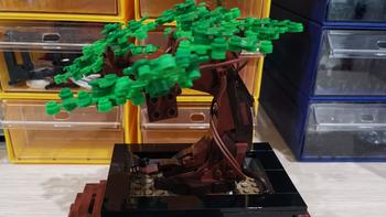 老杨的玩具仓库 篇六十四：LEGO 花草植物系列 10281 盆景盆栽 评测