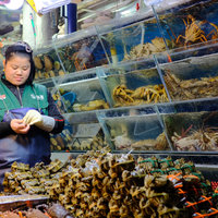 带着富士相机逛北京人气最高的菜市场