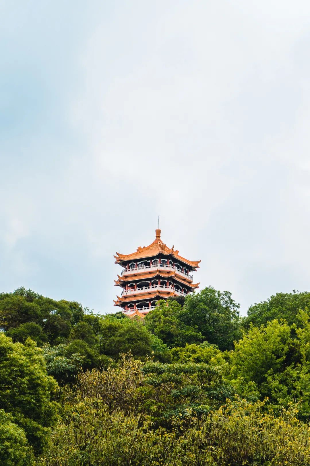 殊不知,在廣州也有一座「鴻鵠樓」,從山腳乍眼望去,還以為「黃鶴樓」