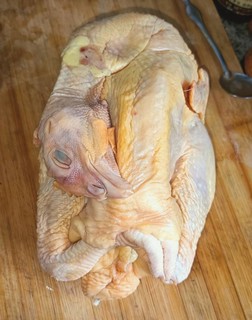 煲汤鸡肉实用感受：温氏供港黄油鸡吃起来？