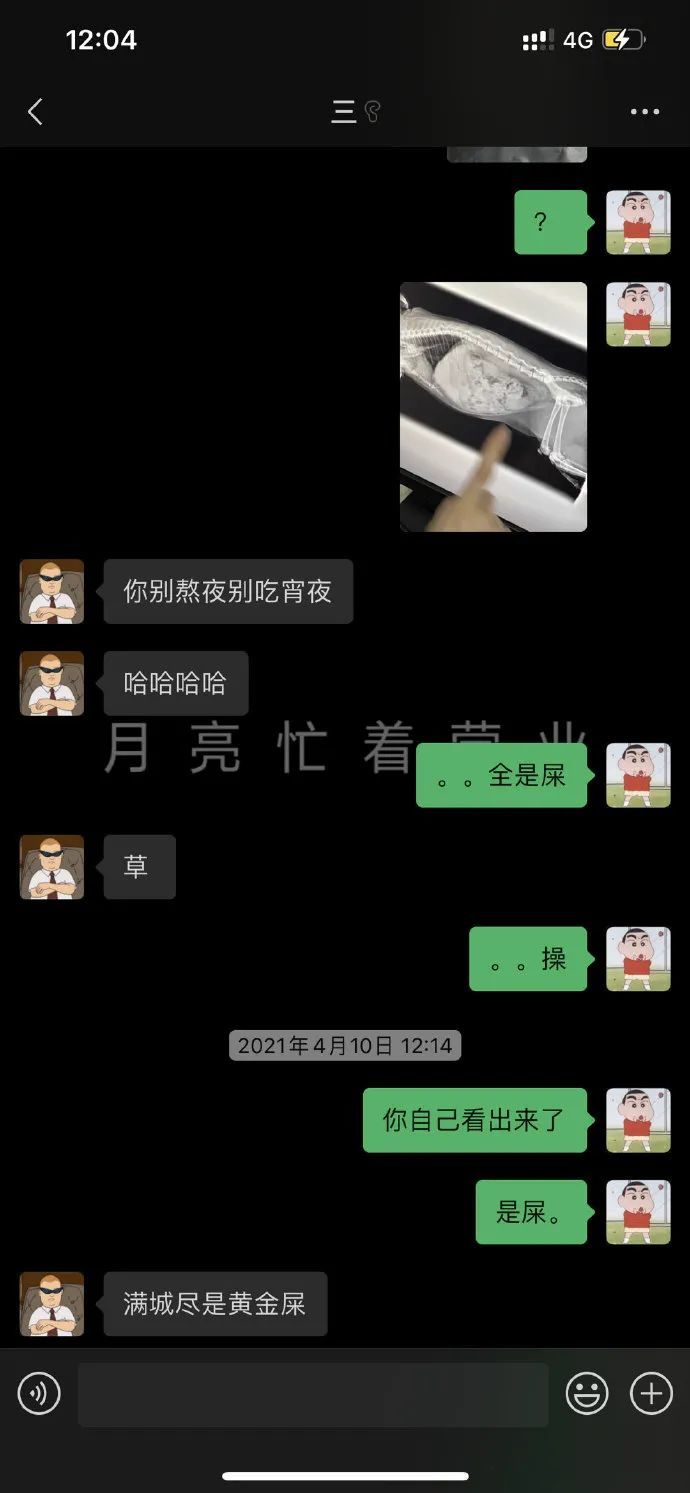 万万没想到被骗的这么惨，我们家猫怀了一肚子屎