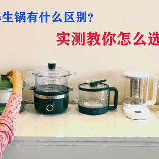 养生壶与养生锅有什么区别？实测教你正确选购与避坑“电炖锅”