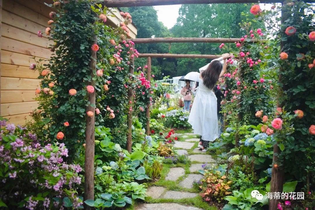 造园记｜5天时间，我们为自闭症儿童打造了座100平的花园，鲜花盛开，蔬果齐全