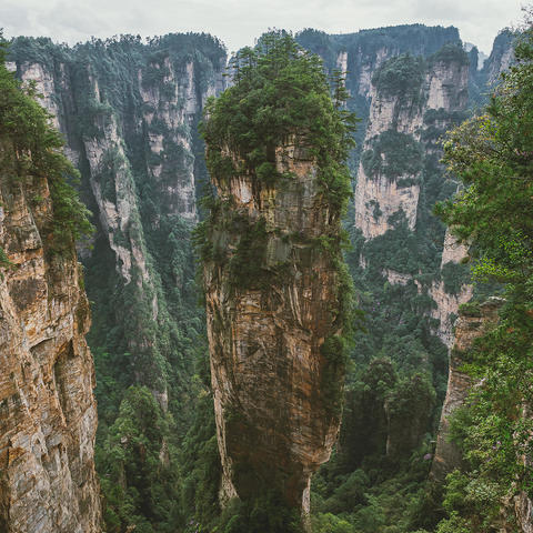 六天玩转三省 上篇——湖南张家界 “时间管理师”的旅行