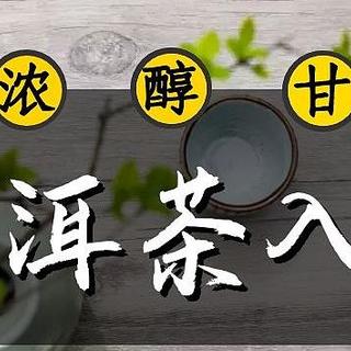 普洱新嘴看过来 17个点带你初步认识普洱茶