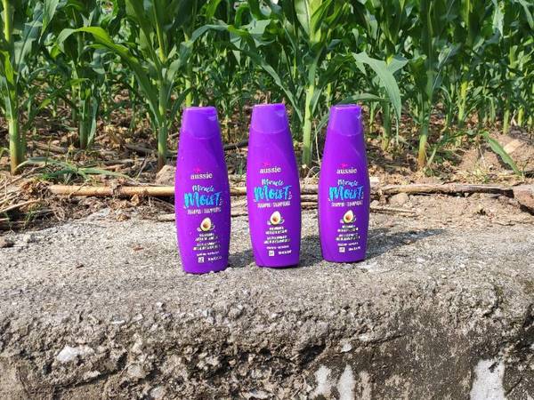 油头克星？Aussie紫袋鼠控油洗发露