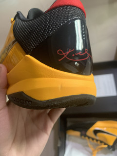 kobe 5 proto